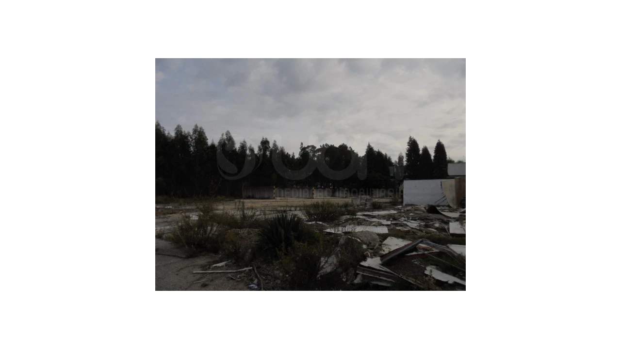 Terreno para Venda em Travassô e Óis da Ribeira Foto 2