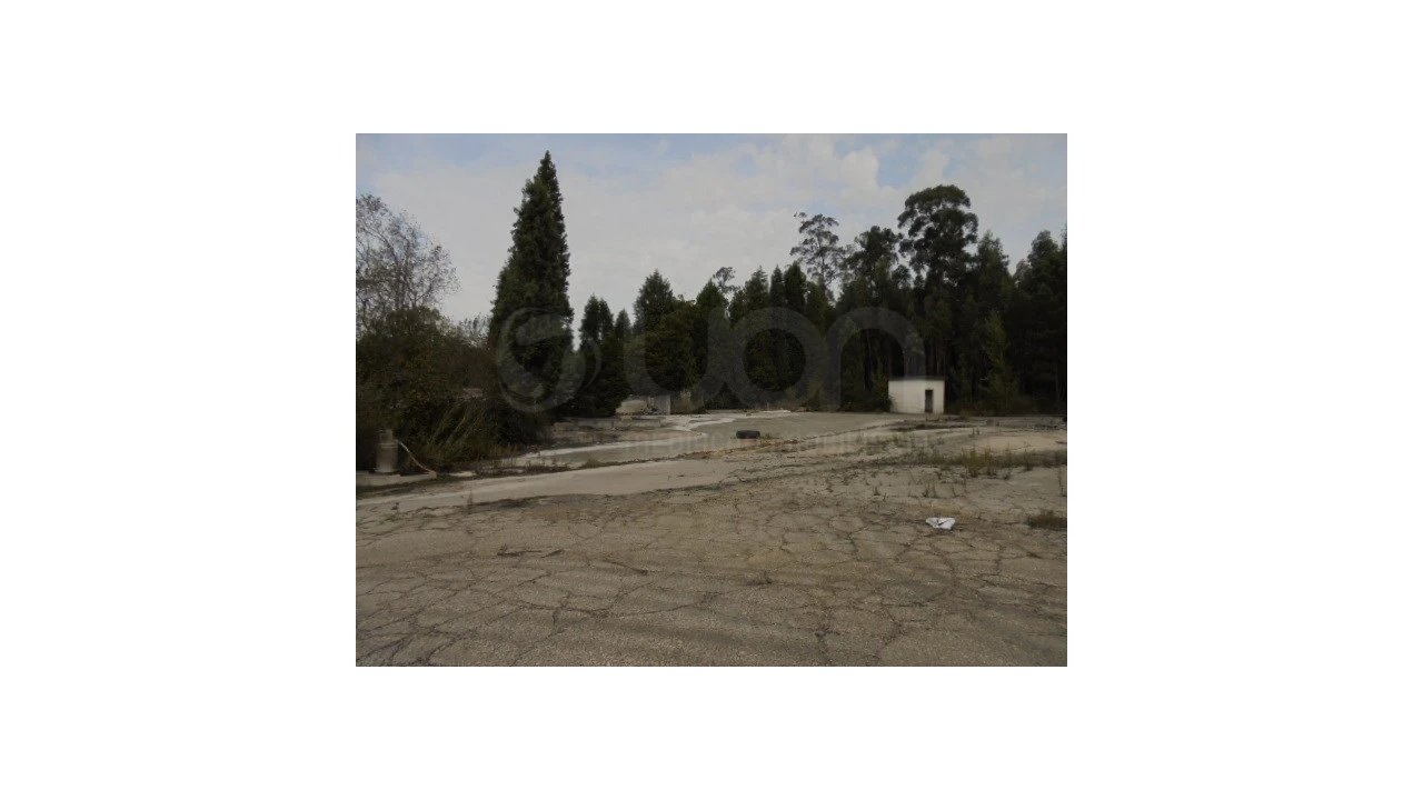 Terreno para Venda em Travassô e Óis da Ribeira Foto 1