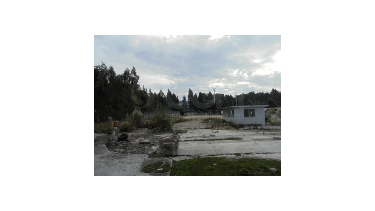 Terreno para Venda em Travassô e Óis da Ribeira Foto 4