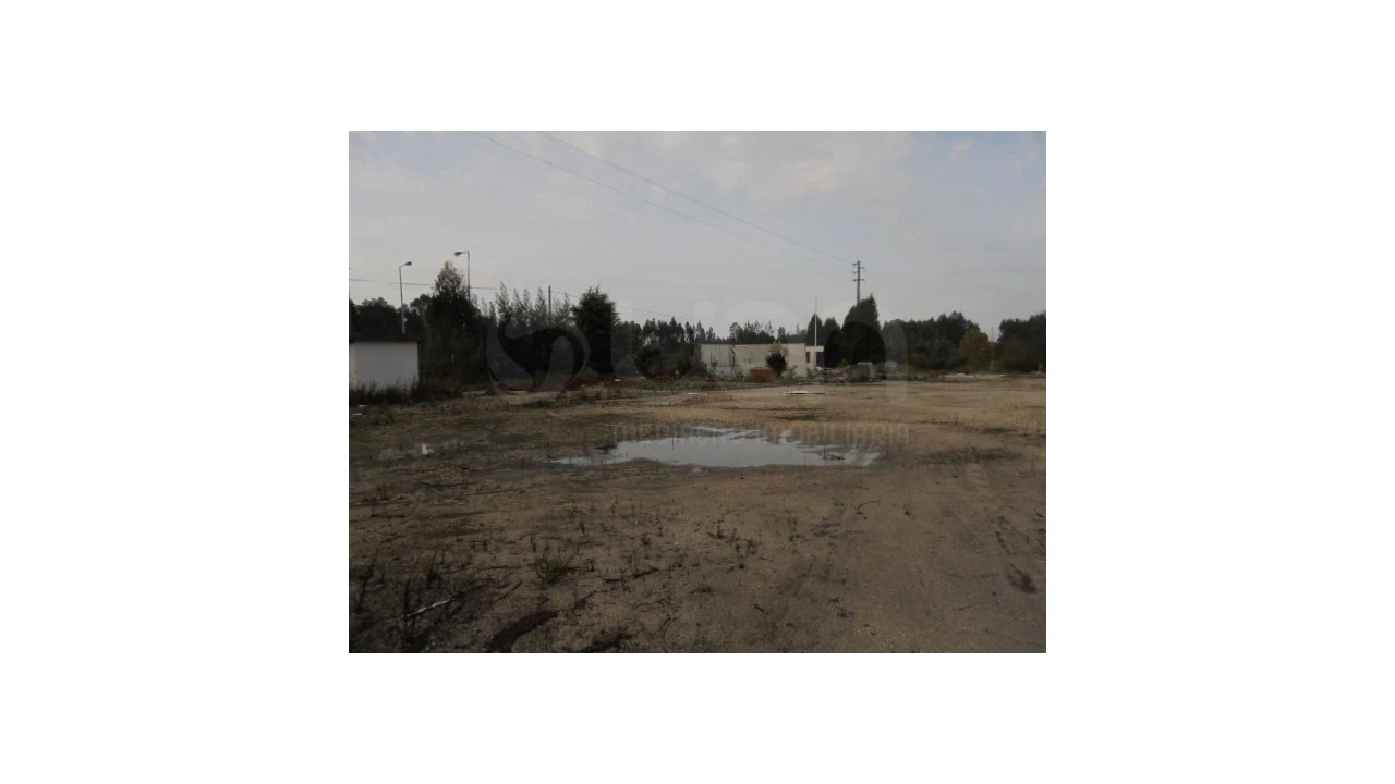 Terreno para Venda em Travassô e Óis da Ribeira Foto 5