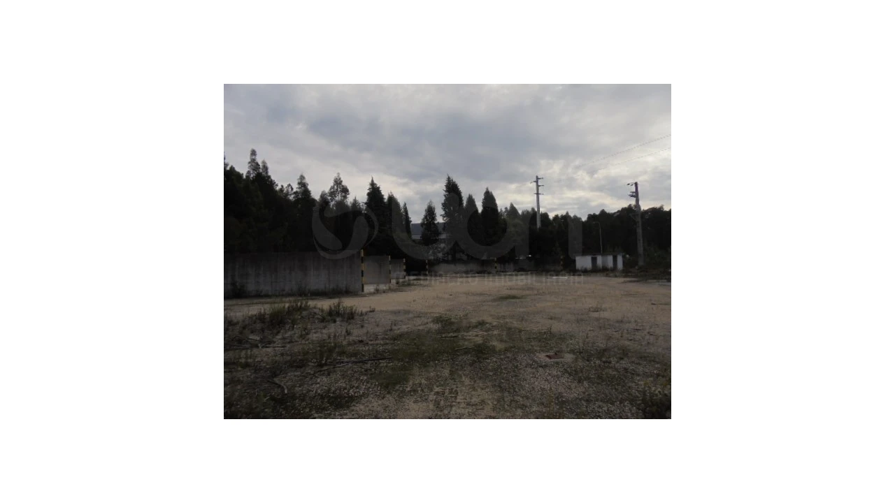 Terreno para Venda em Travassô e Óis da Ribeira Foto 6