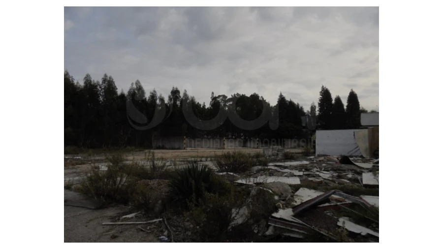 Terreno para Venda em Travassô e Óis da Ribeira Foto 2