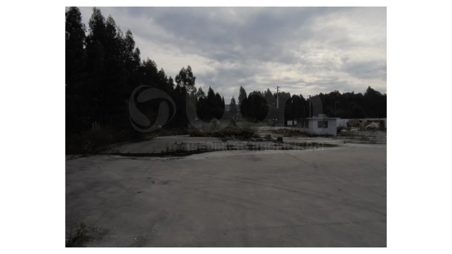 Terreno para Venda em Travassô e Óis da Ribeira Foto 3