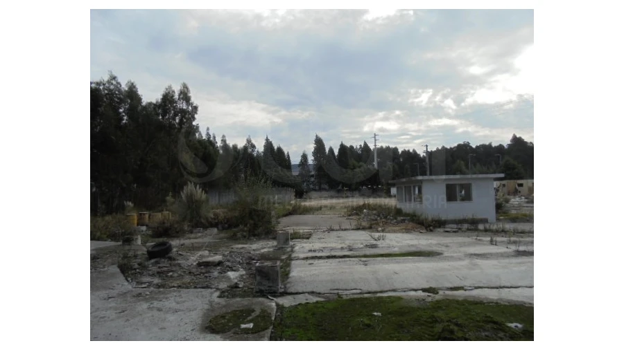 Terreno para Venda em Travassô e Óis da Ribeira Foto 4