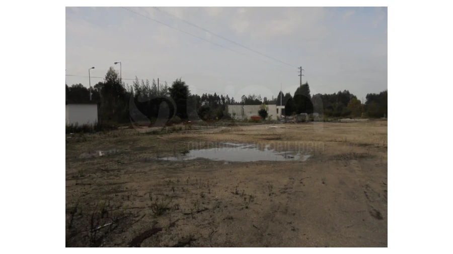 Terreno para Venda em Travassô e Óis da Ribeira Foto 5