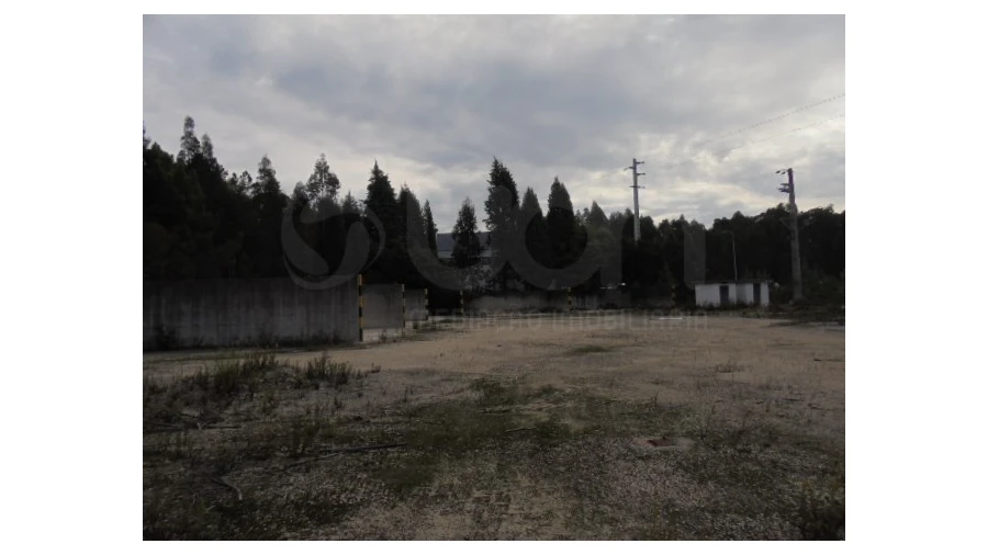 Terreno para Venda em Travassô e Óis da Ribeira Foto 6