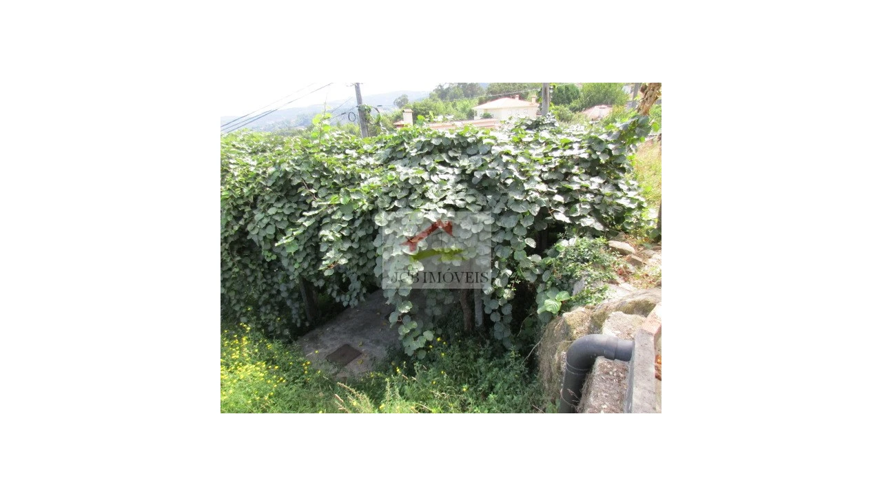 Quinta T5 para Venda em Roriz Foto 9