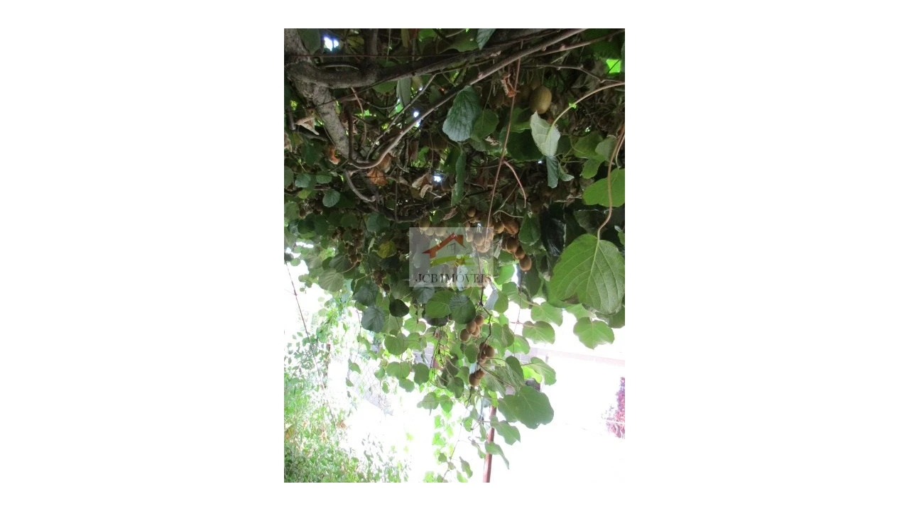 Quinta T5 para Venda em Roriz Foto 24