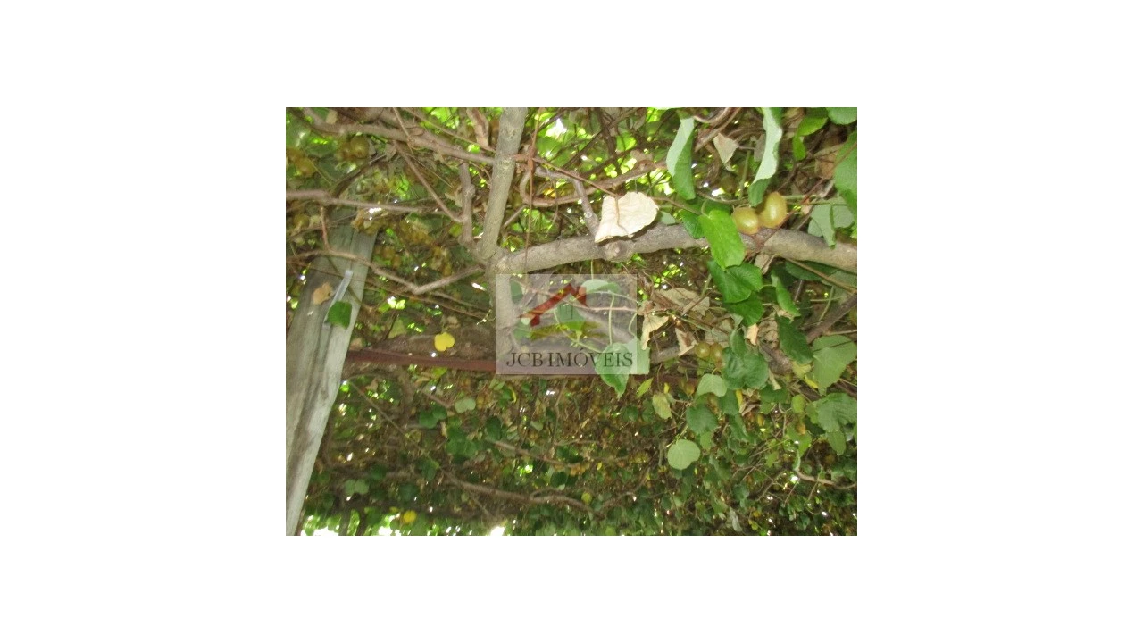 Quinta T5 para Venda em Roriz Foto 25