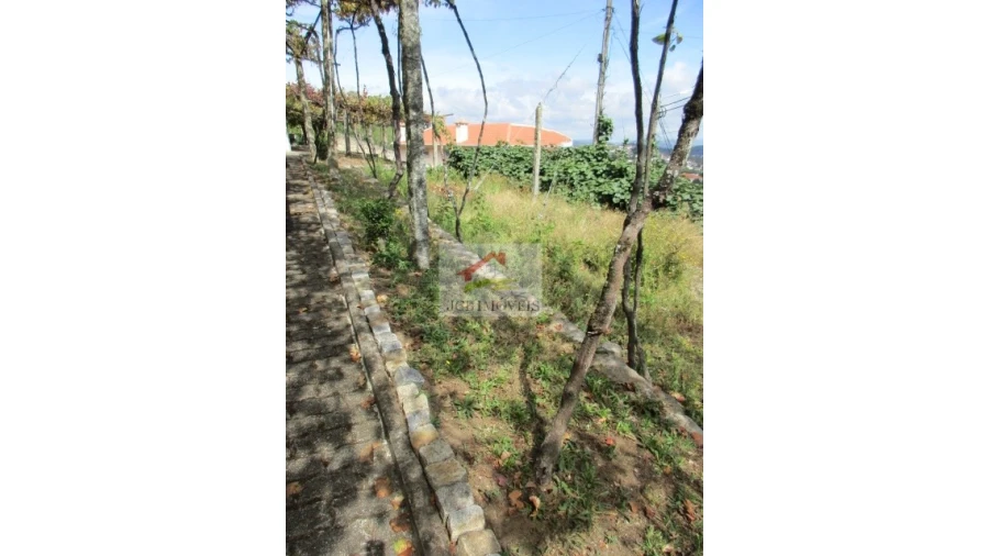 Quinta T5 para Venda em Roriz Foto 11