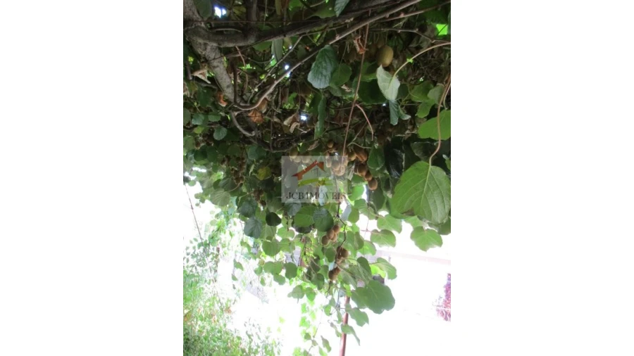 Quinta T5 para Venda em Roriz Foto 24