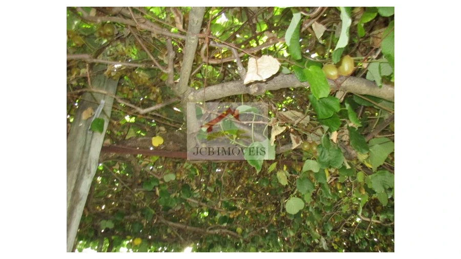 Quinta T5 para Venda em Roriz Foto 25