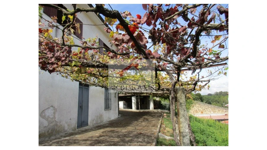 Quinta T5 para Venda em Roriz