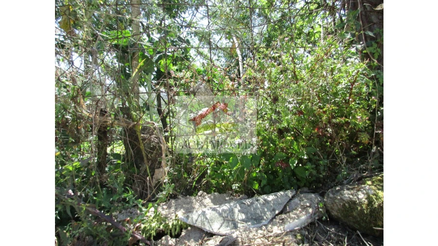 Terreno para Venda em Ermesinde Foto 5