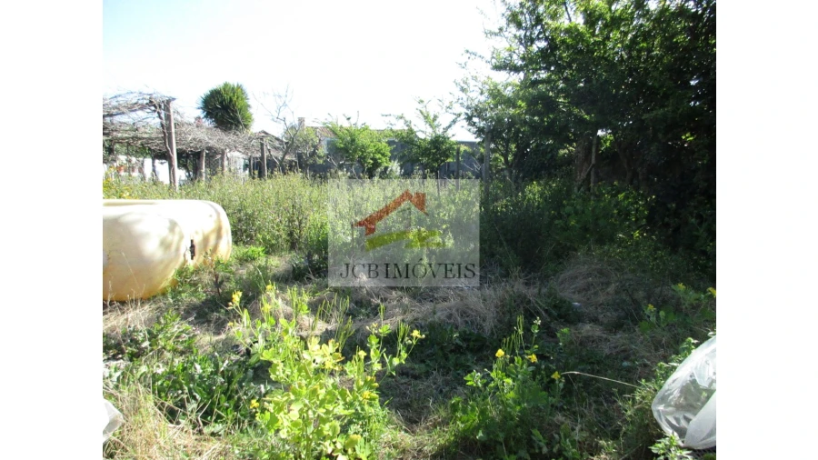 Terreno para Venda em Aguas Santas Foto 6