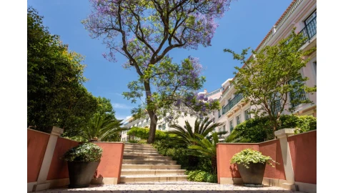 Apartamento T1 para Venda em Estrela