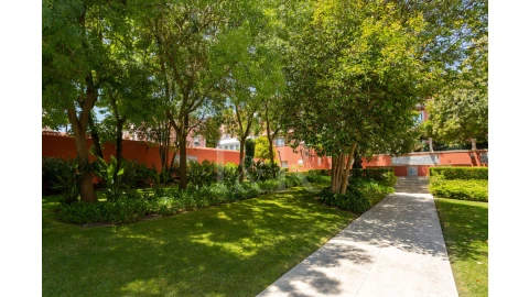 Apartamento T1 para Venda em Estrela