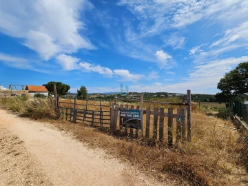 Terreno para Venda em Odiaxere