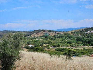 Terreno para Venda em Odiaxere