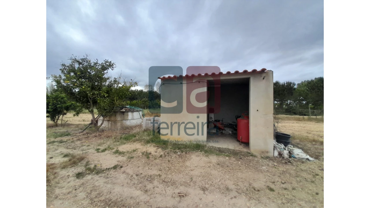 Moradia T4 para Venda em Almeirim Foto 49