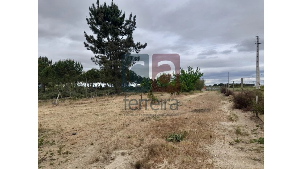 Moradia T4 para Venda em Almeirim Foto 50