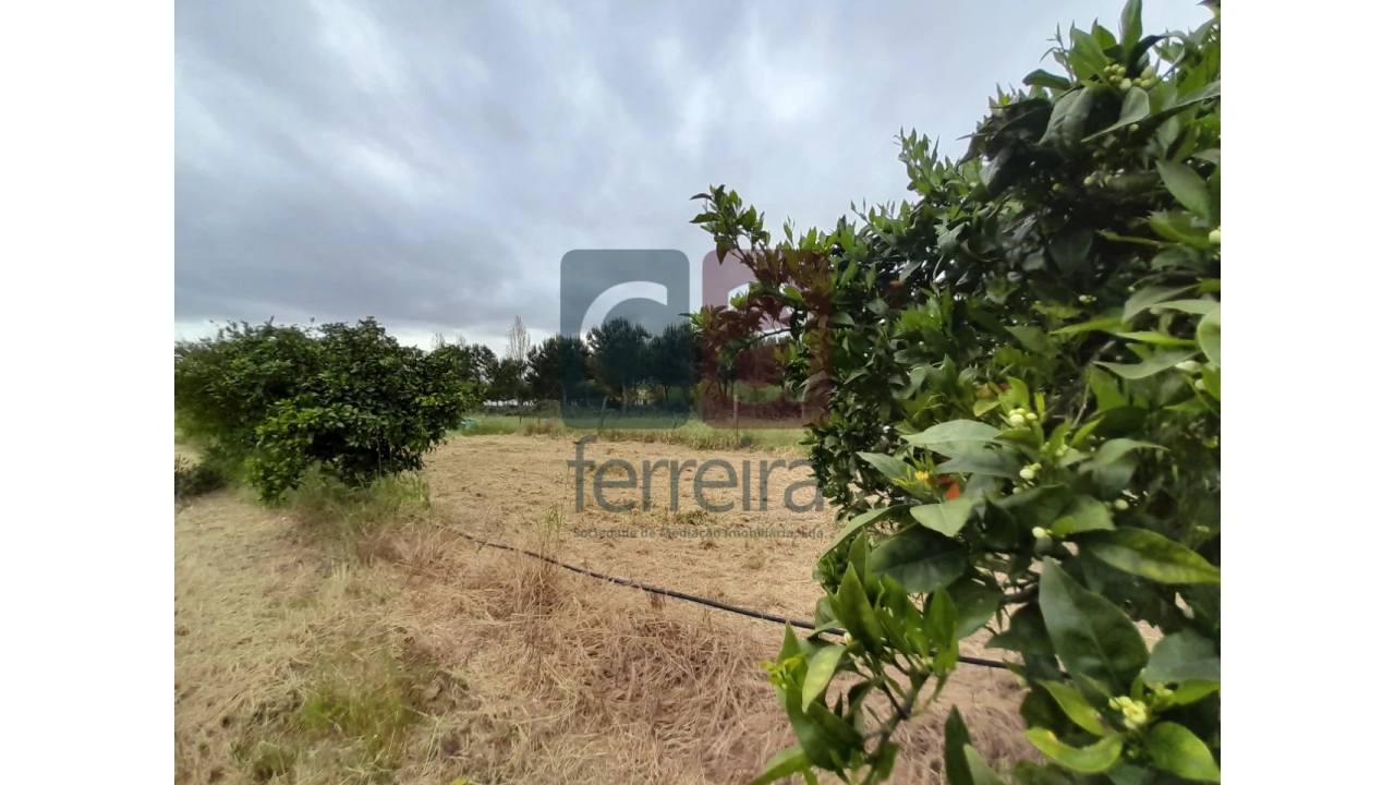 Moradia T4 para Venda em Almeirim Foto 53