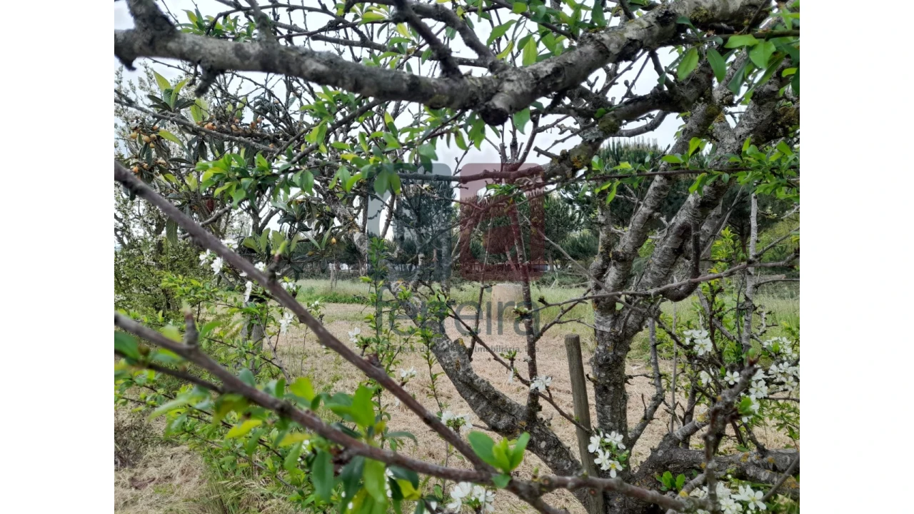 Moradia T4 para Venda em Almeirim Foto 54
