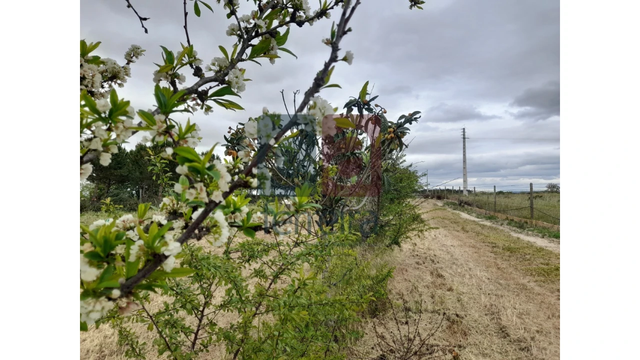 Moradia T4 para Venda em Almeirim Foto 56