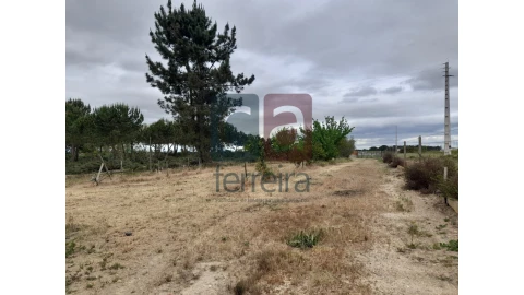 Moradia T4 para Venda em Almeirim
