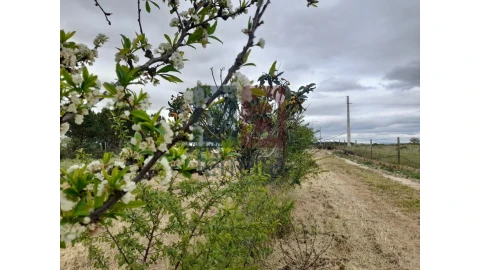 Moradia T4 para Venda em Almeirim