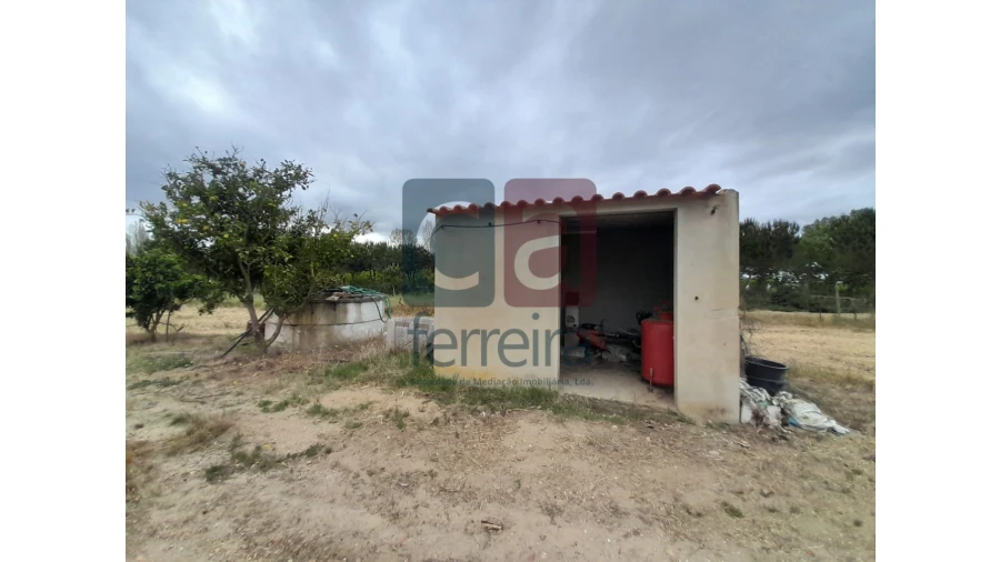 Moradia T4 para Venda em Almeirim Foto 49