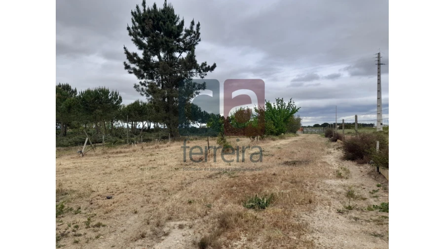 Moradia T4 para Venda em Almeirim Foto 50