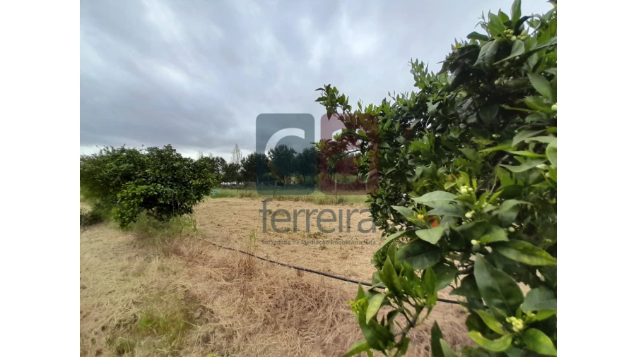 Moradia T4 para Venda em Almeirim Foto 53