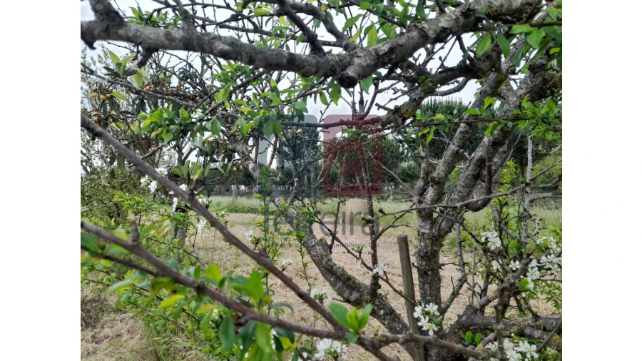 Moradia T4 para Venda em Almeirim Foto 54