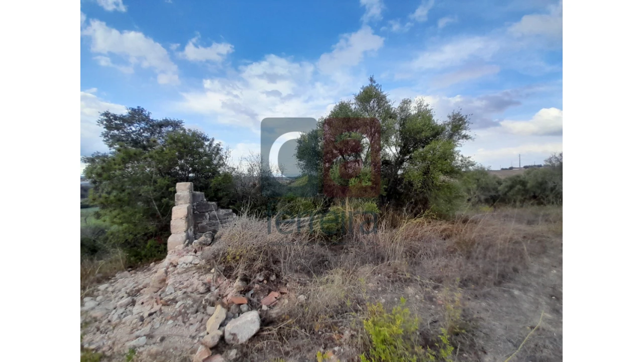 Moradia para Venda em São Vicente do Paul e Vale de Figueira Foto 3