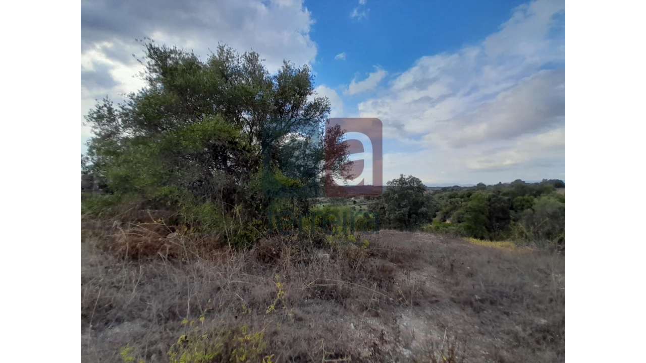 Moradia para Venda em São Vicente do Paul e Vale de Figueira Foto 11