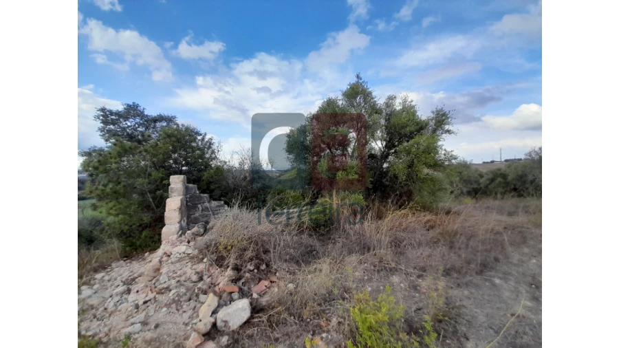 Moradia para Venda em São Vicente do Paul e Vale de Figueira Foto 3