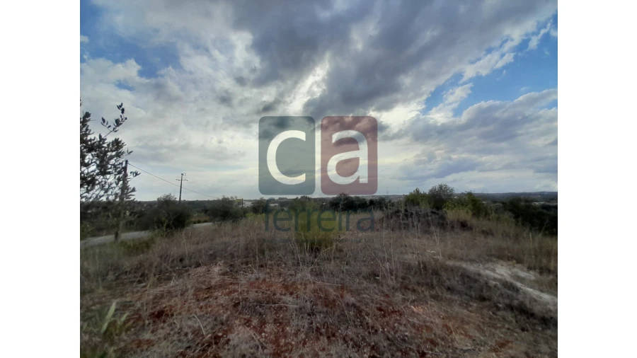 Moradia para Venda em São Vicente do Paul e Vale de Figueira Foto 8