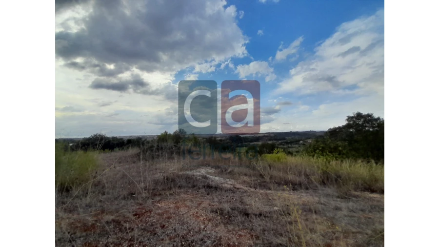 Moradia para Venda em São Vicente do Paul e Vale de Figueira Foto 9