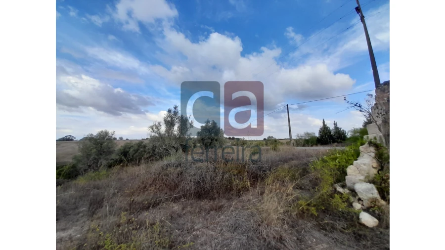 Moradia para Venda em São Vicente do Paul e Vale de Figueira Foto 10