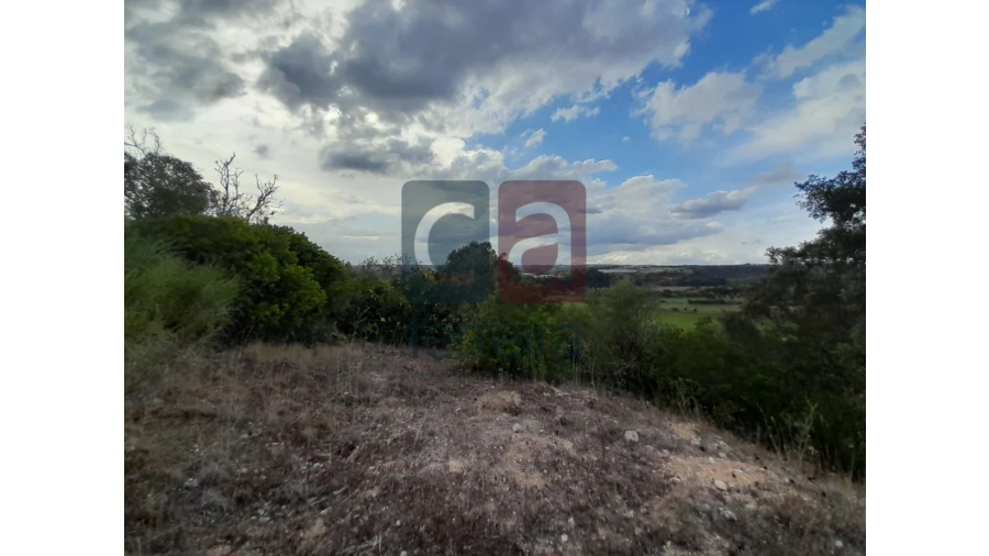 Moradia para Venda em São Vicente do Paul e Vale de Figueira Foto 12