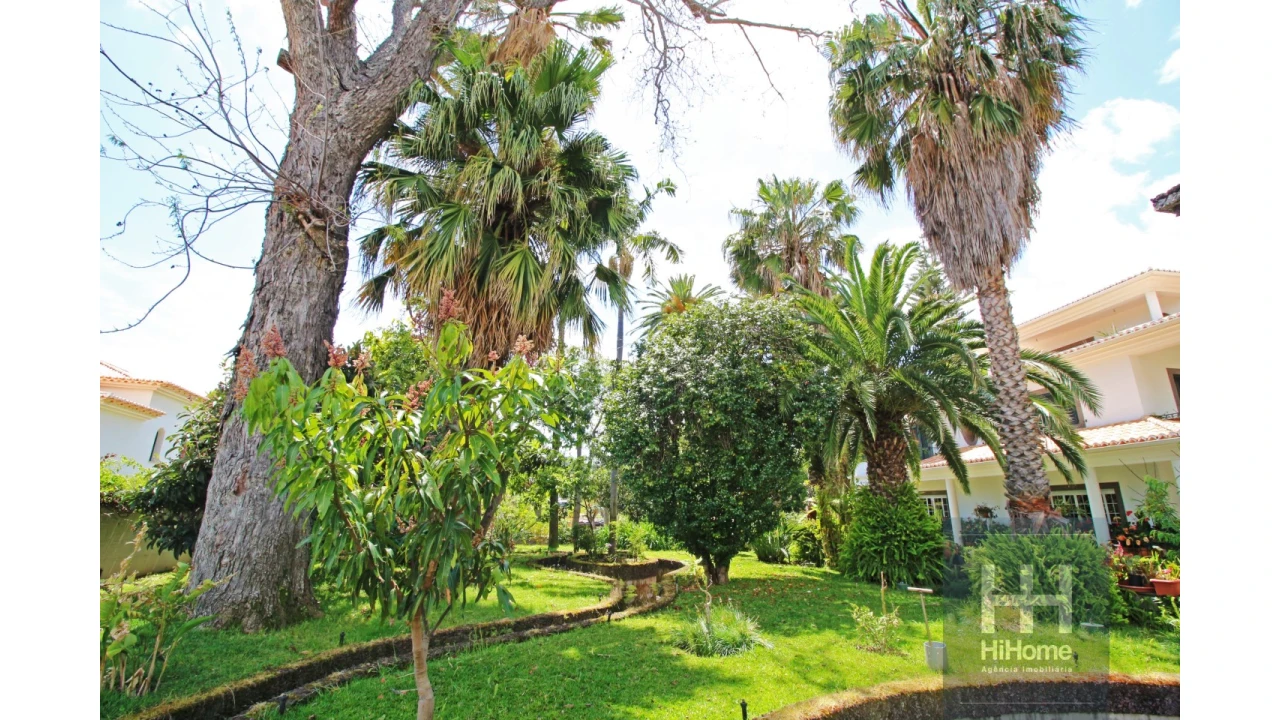 Moradia T6 para Venda em Santo Antonio Foto 15