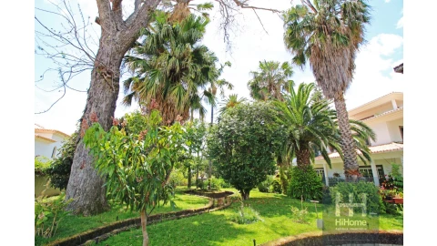 Moradia T6 para Venda em Santo Antonio