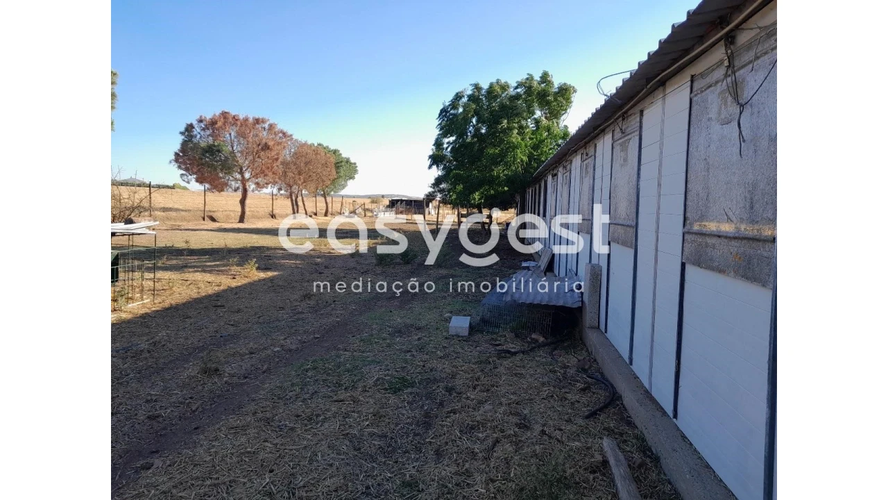 Terreno Agricola ou Rústico para Venda em Beringel Foto 1