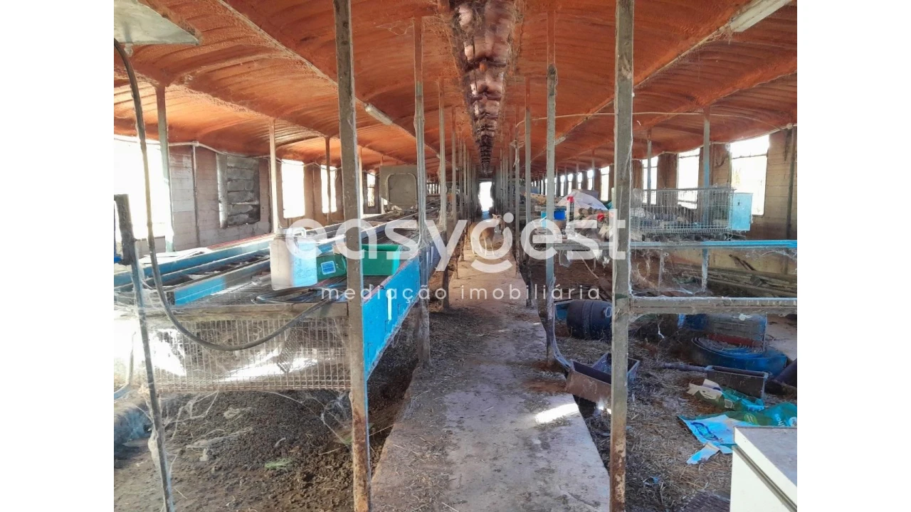 Terreno Agricola ou Rústico para Venda em Beringel Foto 5