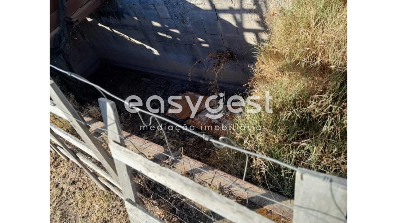 Terreno Agricola ou Rústico para Venda em Beringel Foto 8