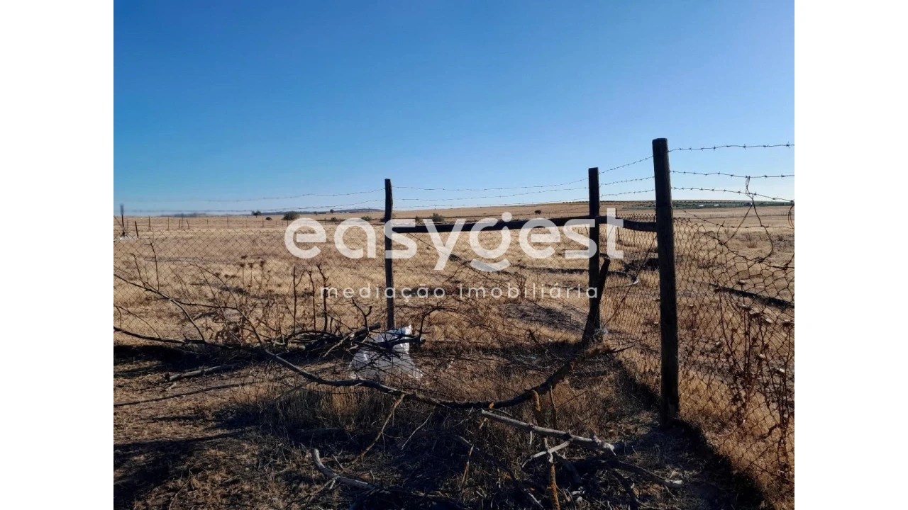 Terreno Agricola ou Rústico para Venda em Beringel Foto 9