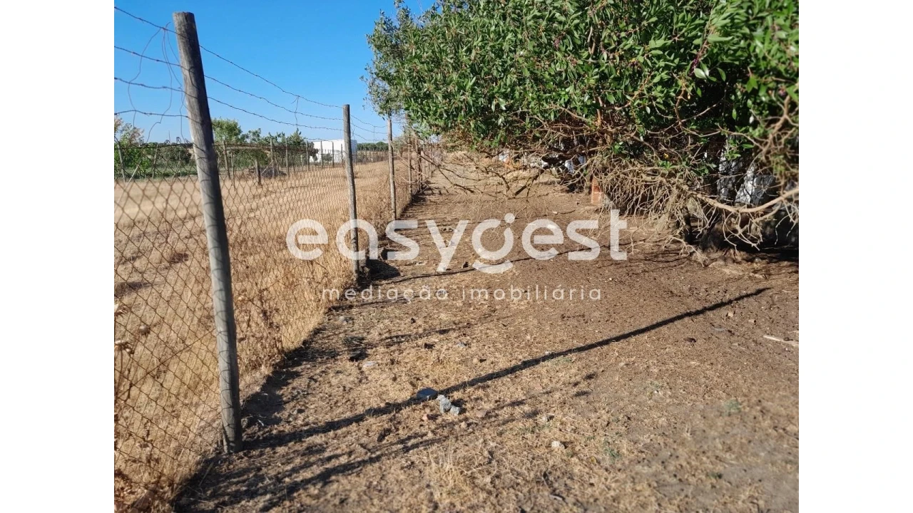 Terreno Agricola ou Rústico para Venda em Beringel Foto 10