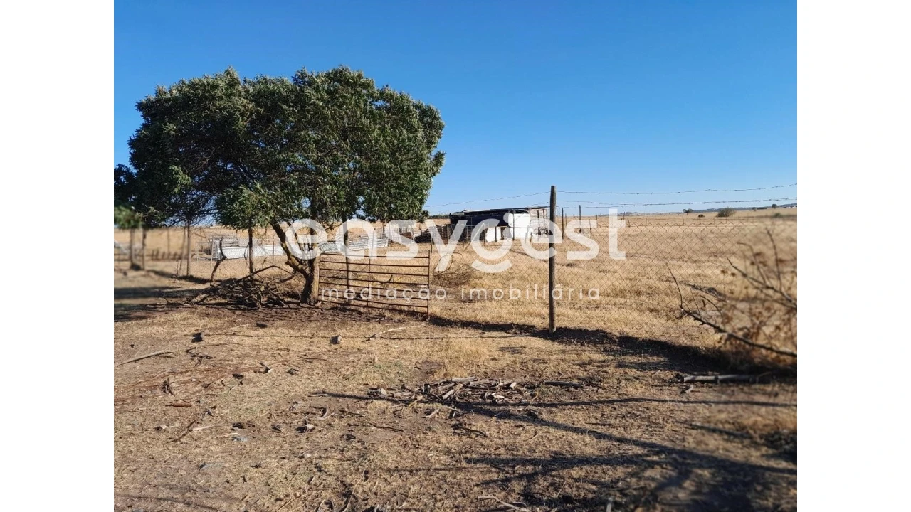 Terreno Agricola ou Rústico para Venda em Beringel Foto 11