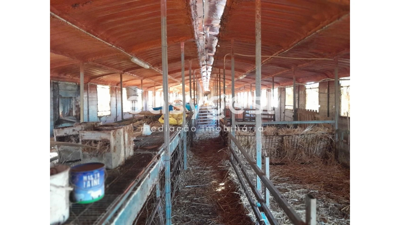 Terreno Agricola ou Rústico para Venda em Beringel Foto 13